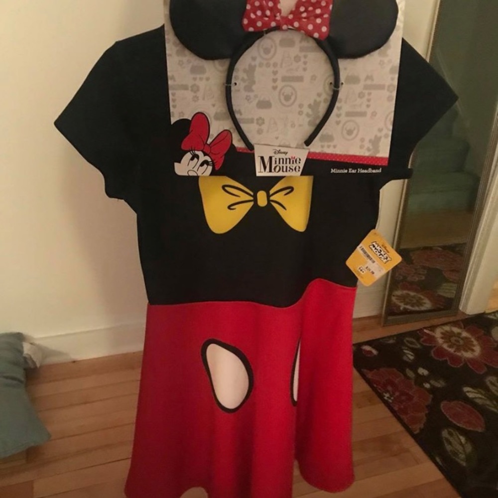 Disney Minnie Mouse small costume adult